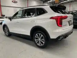 
										2025 GWM Haval Jolion Premium White 7 Speed Auto Dual Clutch Wagon full									