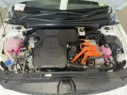 
										2024 Hyundai i30 CN7.V2 MY24 HEV 1.6P DCT White 6 Speed Auto Dual Cl full									