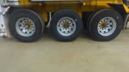 
										2016 Boomerang Tipping Skel full									