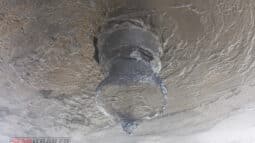 
										1985 Freighter 20FT Skel full									