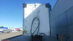 
										2003 Lusty Walking FLOOR full									