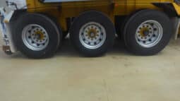 
										2016 Boomerang Tipping Skel full									