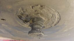 
										2003 Maxitrans 12 Pallet FLAT TOP Rollback A Trailer full									