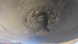 
										2007 Phenux Single Axle 40FT Skel full									