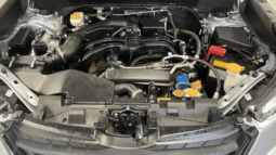 
										2023 Subaru Forester MY23 2.5I (AWD) Silver Continuous Variable Wago full									