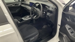 
										2025 GWM Haval Jolion Premium White 7 Speed Auto Dual Clutch full									