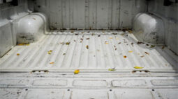 
										2010 Ford Ranger Utility XL PK full									