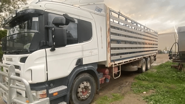 2007 Used Scania P310 Tray
