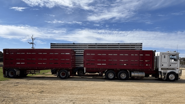 2014 Used Kenworth K200 Livestock Truck