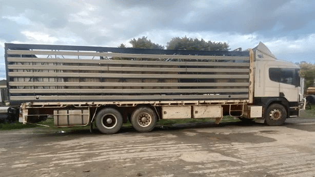 2007 Used Scania P310 Tray