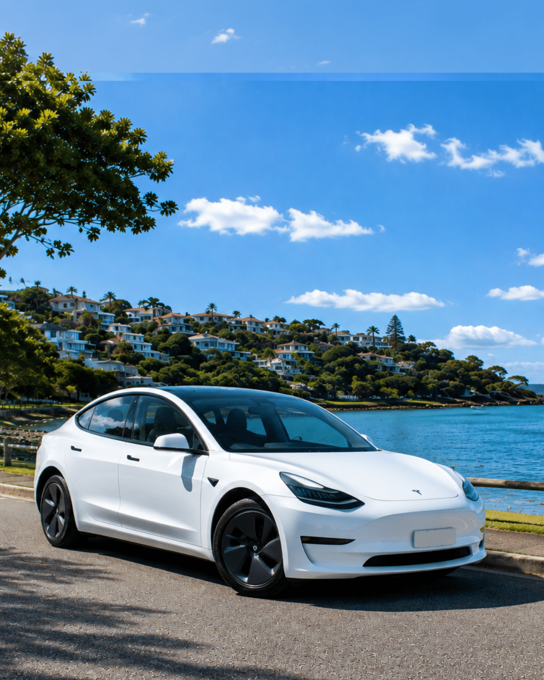 Electric